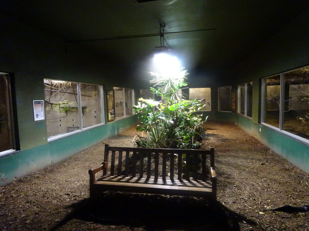 Interior of the Monkey House at the Edinburgh Zoo