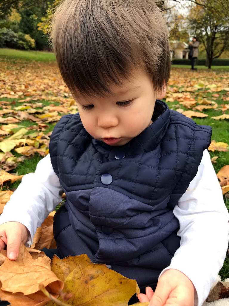 Max playing with leaves at the Princes Street Gardens
