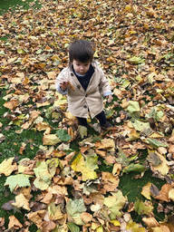 Max playing with leaves at the Princes Street Gardens