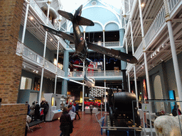The Explore Hall at the First Floor of the National Museum of Scotland