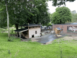 Petting zoo at the Landal Coldenhove holiday park