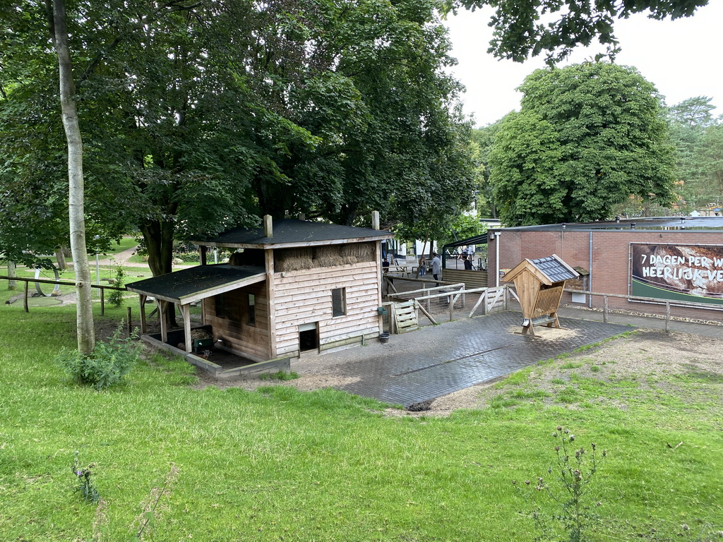 Petting zoo at the Landal Coldenhove holiday park