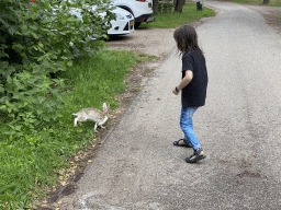 Max with a Rabbit at the Landal Coldenhove holiday park