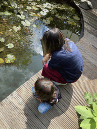 Miaomiao and Max at the pond in the garden of the house of Tim`s father at Brummen