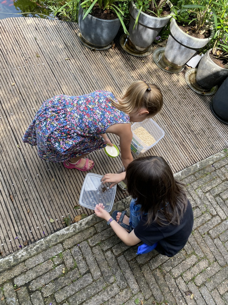 Max and his cousin feeding the fishes at the pond in the garden of the house of Tim`s father at Brummen