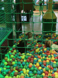 Max and his cousin in the ball pit at the indoor playground at the Landal Coldenhove holiday park