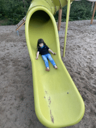 eerbeek_1_080 - 330 kb - 768x1024 - Max on a slide at the main playground at the Landal Coldenhove holiday park Max on a slide at the main playground at the Landal Coldenhove holiday park