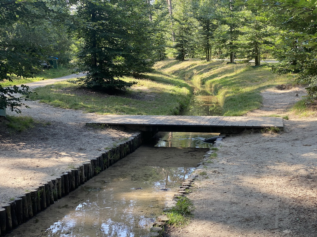 Bridge near the Loenen Waterfall at Loenen