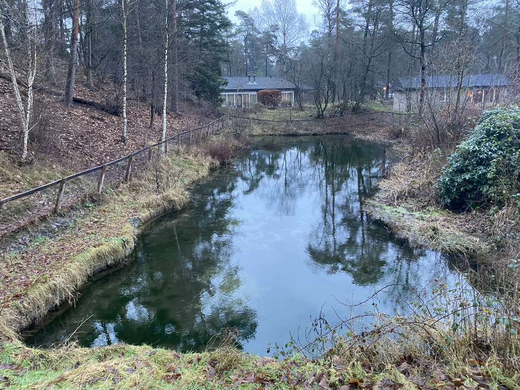 Pond at the Landal Coldenhove holiday park