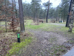 Camping grounds at the Landal Coldenhove holiday park