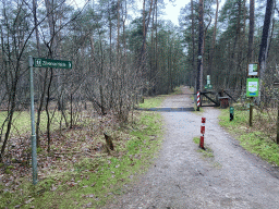 Path to the Zilvense Heide heather at the Landal Coldenhove holiday park