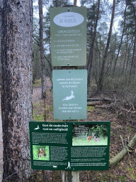 Information on the wildlife at the forest at the Landgoed Boshul estate