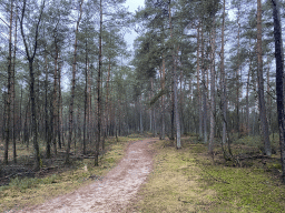 Path at the forest at the Landgoed Boshul estate