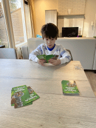 Max playing quartets in the living room of our holiday home at the Landal Coldenhove holiday park