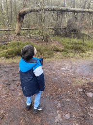 Max on a path at the forest at the Landgoed Boshul estate