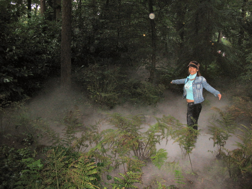 Miaomiao and fog at the Fairytale Forest at the Marerijk kingdom