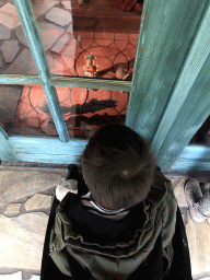 Max in front of Geppetto`s House at the Pinocchio attraction at the Fairytale Forest at the Marerijk kingdom