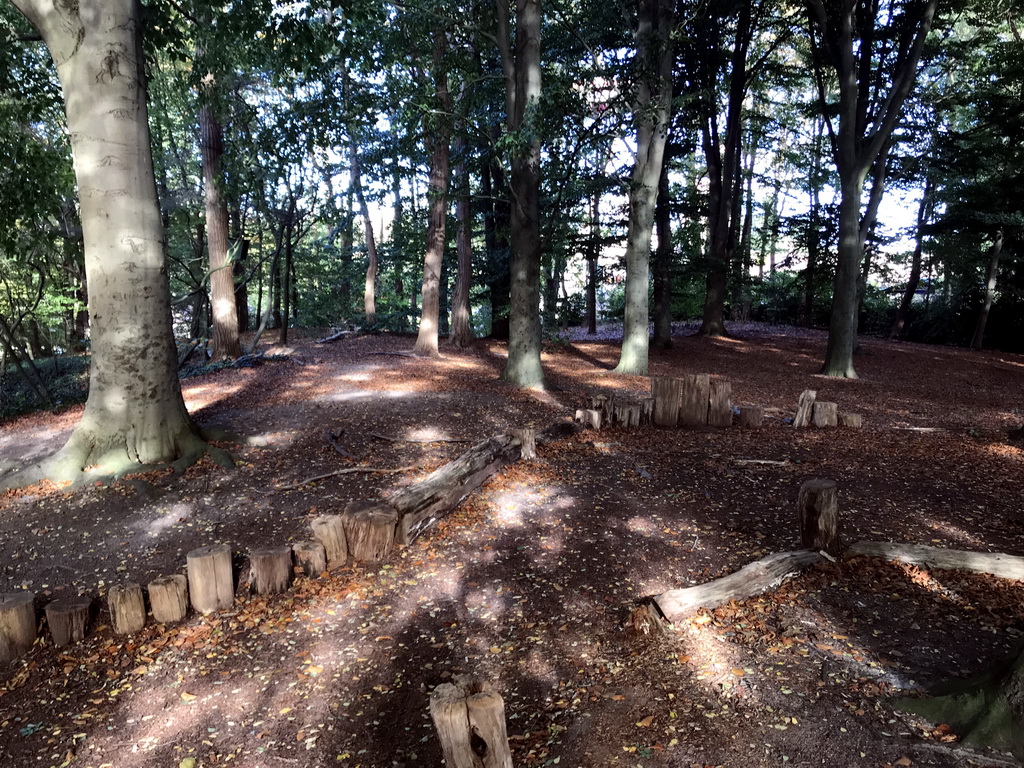 Forest next to the Spookslot attraction at the Anderrijk kingdom
