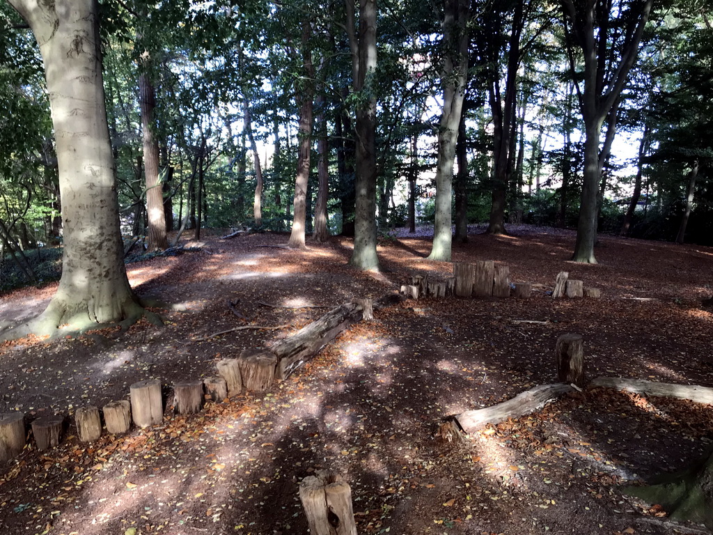 Forest next to the Spookslot attraction at the Anderrijk kingdom