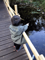 Max on a bridge at the Adventure Maze at the Reizenrijk kingdom