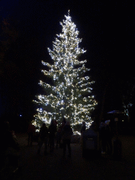 The Wish Tree attraction at the Fantasierijk kingdom, during the Winter Efteling, by night