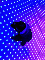 Max on the dance floor at the IJspaleis attraction at the Reizenrijk kingdom, during the Winter Efteling