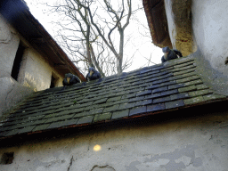 Birds on the roof of the Castle of Sleeping Beauty at the Sleeping Beauty attraction at the Fairytale Forest at the Marerijk kingdom, during the Winter Efteling