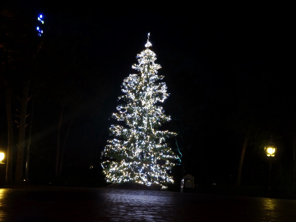 The Wish Tree attraction at the Fantasierijk kingdom, during the Winter Efteling, by night