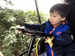 Max at the Oude Tufferbaan attraction at the Ruigrijk kingdom