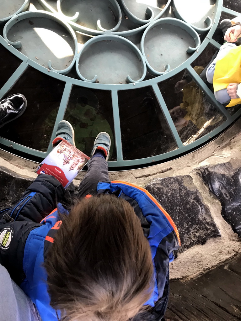 Max at the well at the Mother Holle attraction at the Fairytale Forest at the Marerijk kingdom
