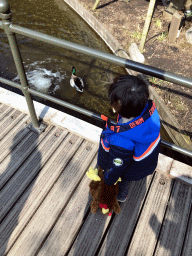 Max with a duck at the Garden of the Chinese Nightingale attraction at the Fairytale Forest at the Marerijk kingdom