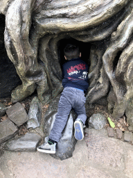 Max at a tree house at the Gnome Village attraction at the Fairytale Forest at the Marerijk kingdom