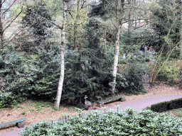 View from the Castle of Sleeping Beauty at the Sleeping Beauty attraction at the Fairytale Forest at the Marerijk kingdom