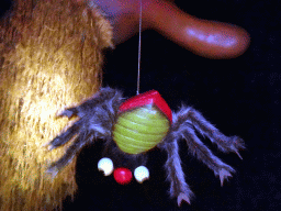 Spider at the African scene at the Carnaval Festival attraction at the Reizenrijk kingdom