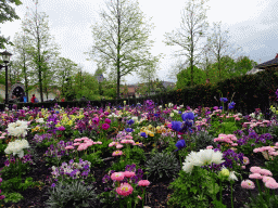 Flowers at the Sint Nicolaasplaets square at the Marerijk kingdom