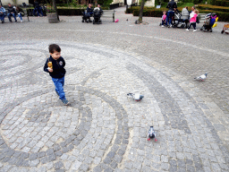 Max with Eigenheymers and pigeons at the Ton van de Ven square at the Marerijk kingdom