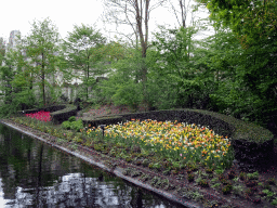 Flowers at the Pardoes Promenade at the Fantasierijk kingdom