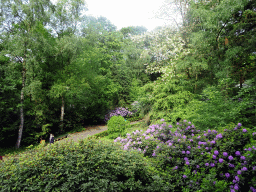 View from the Castle of Sleeping Beauty at the Sleeping Beauty attraction at the Fairytale Forest at the Marerijk kingdom