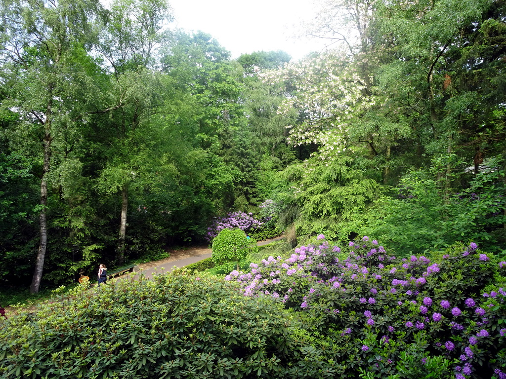 View from the Castle of Sleeping Beauty at the Sleeping Beauty attraction at the Fairytale Forest at the Marerijk kingdom