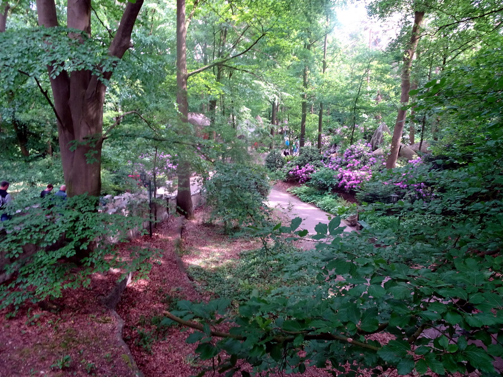 The Gnome Village attraction at the Fairytale Forest at the Marerijk kingdom, viewed from the Sleeping Beauty attraction