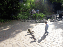 Max with Ducks in front of the Tom Thumb attraction at the Fairytale Forest at the Marerijk kingdom