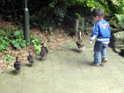 Max with Ducks in front of the Tom Thumb attraction at the Fairytale Forest at the Marerijk kingdom