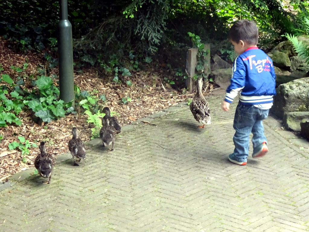 Max with Ducks in front of the Tom Thumb attraction at the Fairytale Forest at the Marerijk kingdom