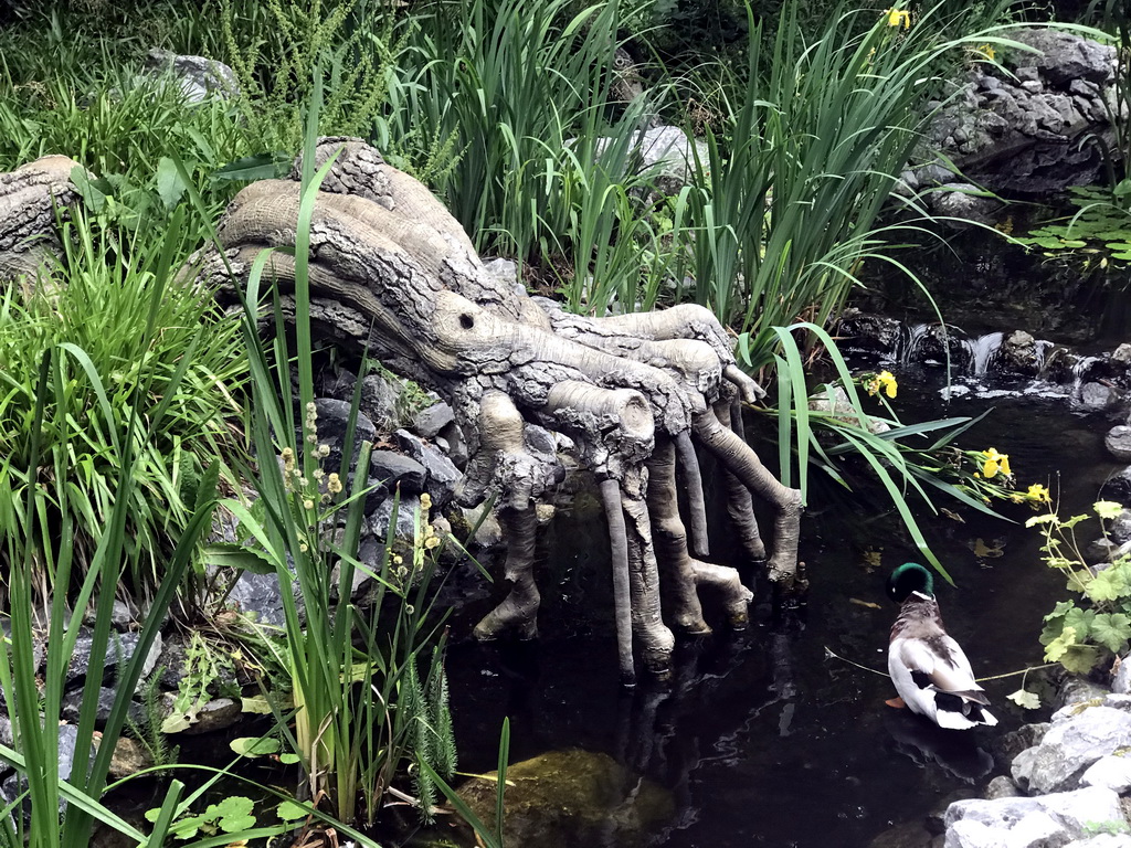 Roots of the Fairytale Tree at the Fairytale Tree attraction at the Fairytale Forest at the Marerijk kingdom