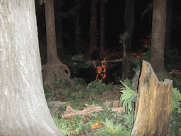 The Squelch Forest in the Droomvlucht attraction at the Marerijk kingdom