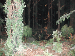 The Squelch Forest in the Droomvlucht attraction at the Marerijk kingdom