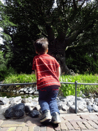 Max in front of the Fairytale Tree attraction at the Fairytale Forest at the Marerijk kingdom