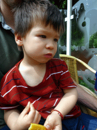 Max having lunch at the terrace of the Panorama Restaurant at the Reizenrijk kingdom