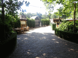 Snack stands along the Dubbele Laan road from the Marerijk kingdom to the Reizenrijk kingdom