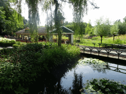 The Kinderspoor attraction at the Ruigrijk kingdom